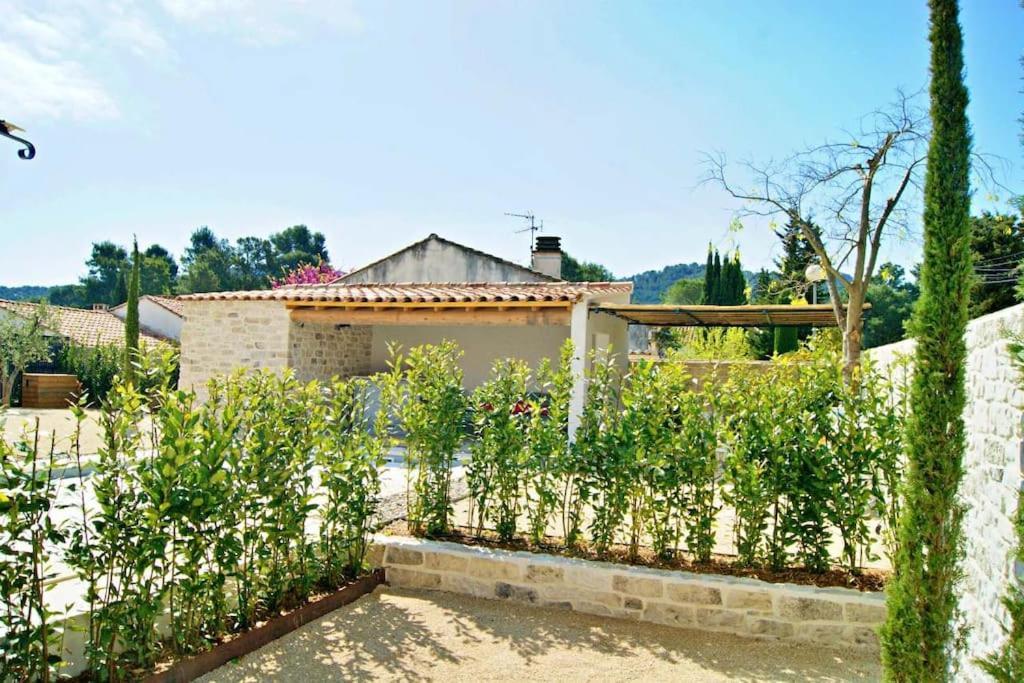 La Maison D'Angele Saint Remy De Provence Βίλα Εξωτερικό φωτογραφία